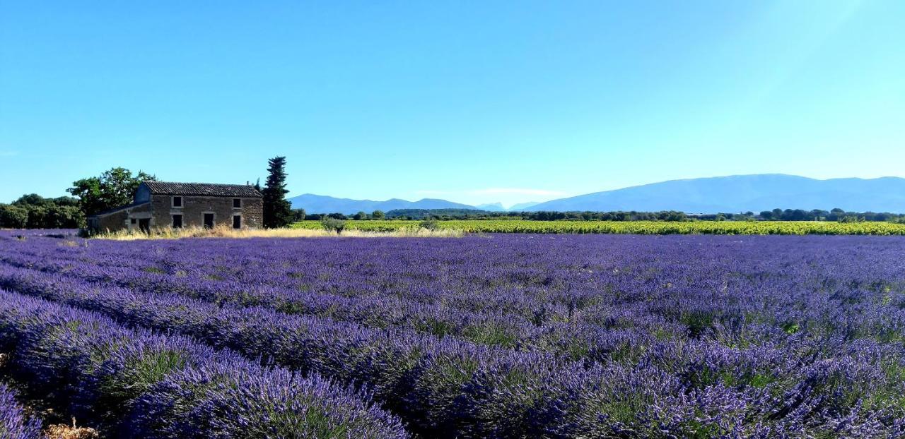 L'Instant Provence Villa Valréas Exteriör bild